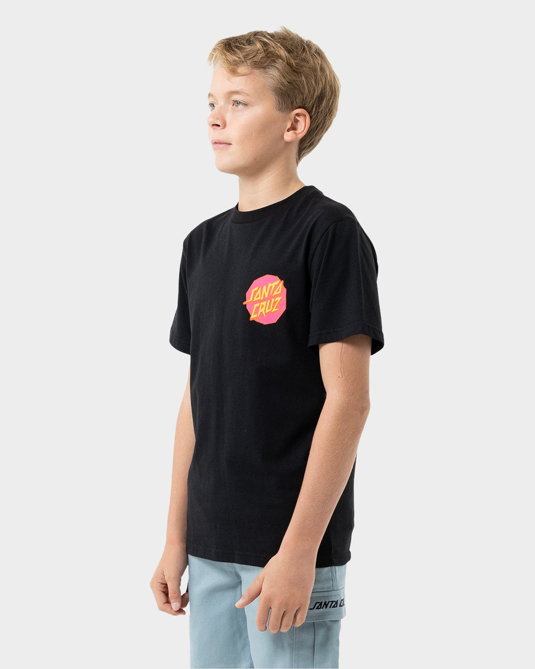 Santa Cruz Meek Scratched Slasher Tee - Black