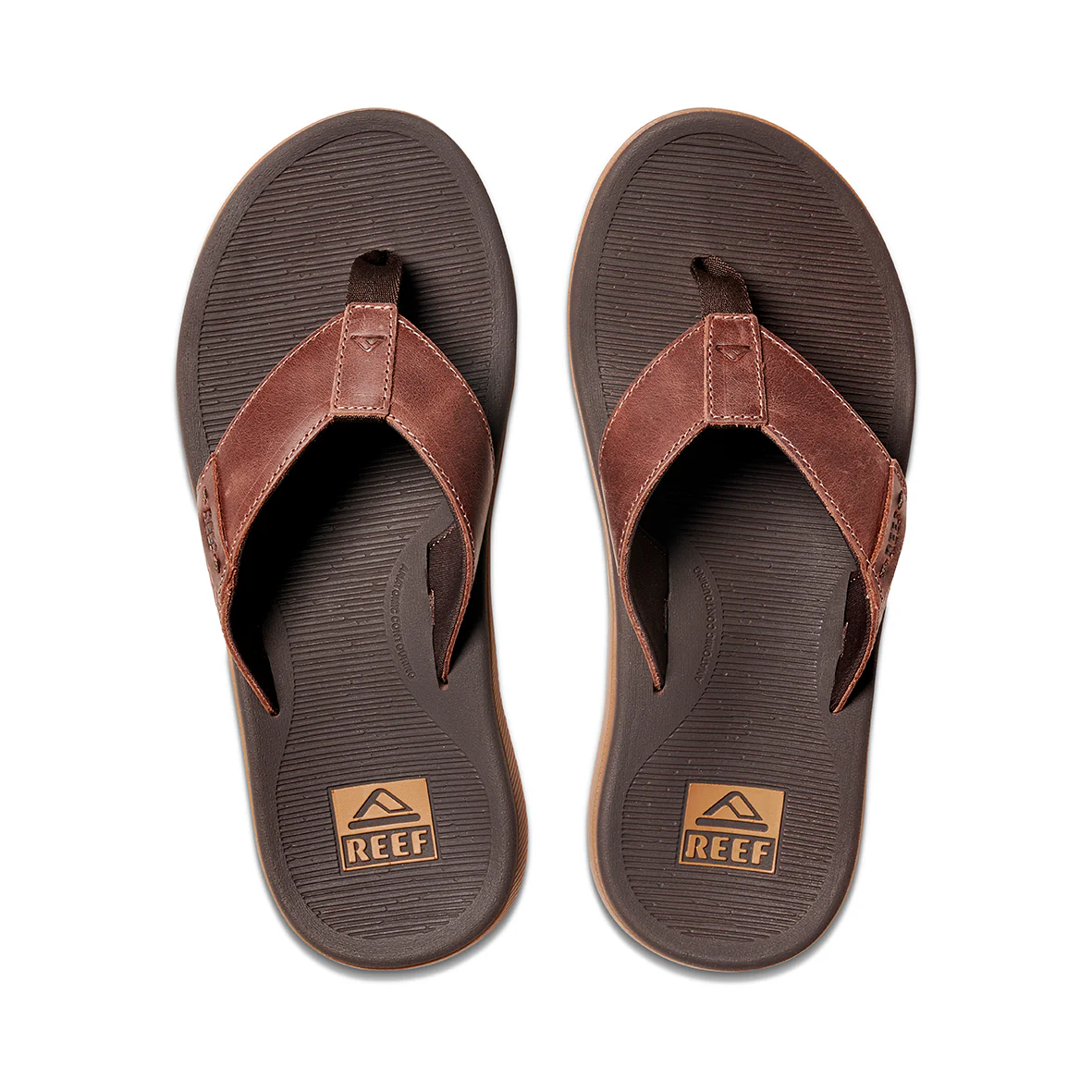Reef Santa Anna Leather Thong - Brown