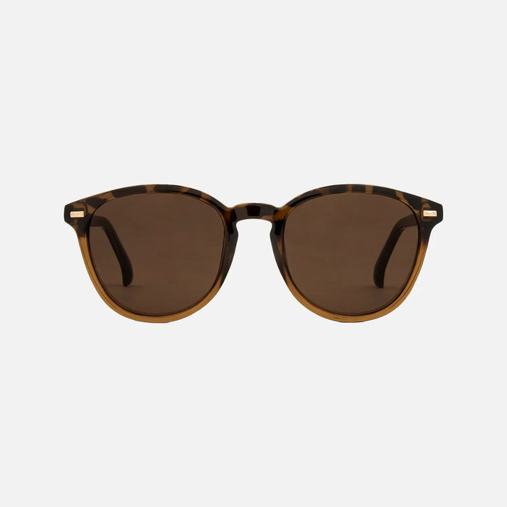 Carve Oslo Gloss Tort/Toffee Brown Lens