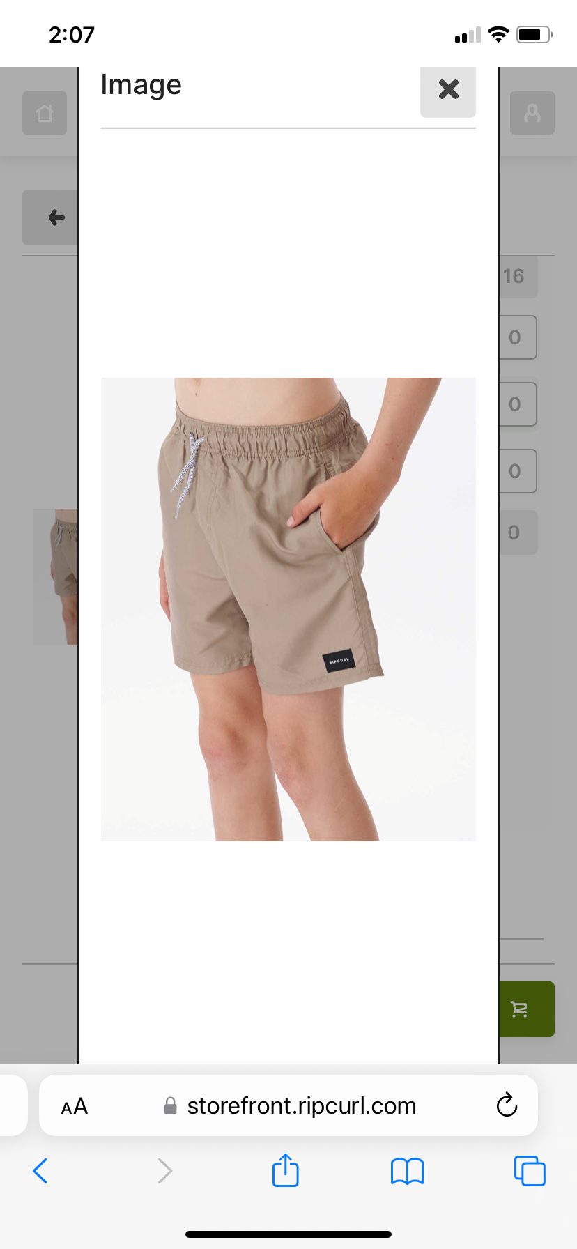 Rip Curl Bondi Volley Boy - Washed Moss