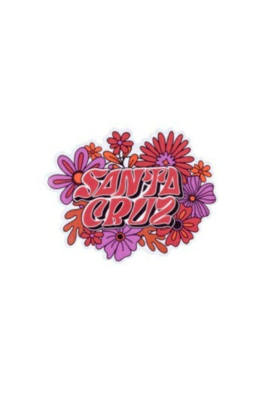 Santa Cruz Vibes Sticker - Assorted