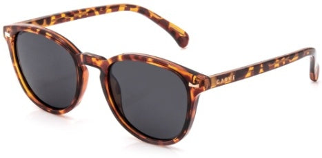 Carve Oslo - Gloss Tort Grey Polarized Lens