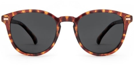 Carve Oslo - Gloss Tort Grey Polarized Lens