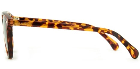 Carve Oslo - Gloss Tort Grey Polarized Lens